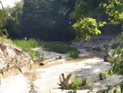 kompaniewanderung 202451